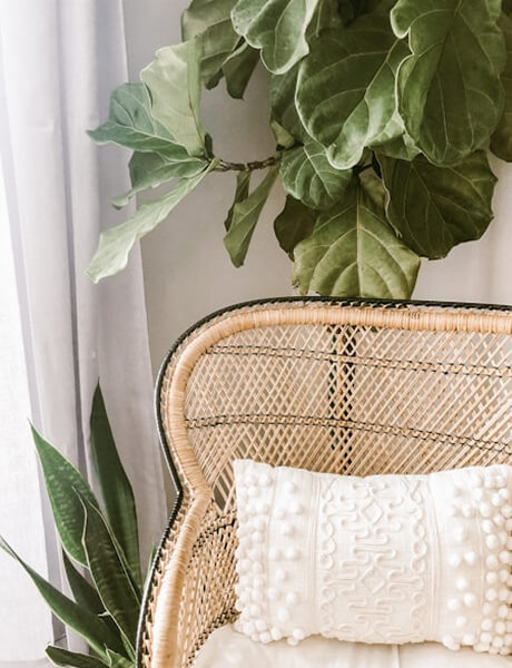 Home – Interior decoration – Garden