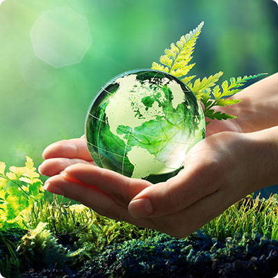 Environment