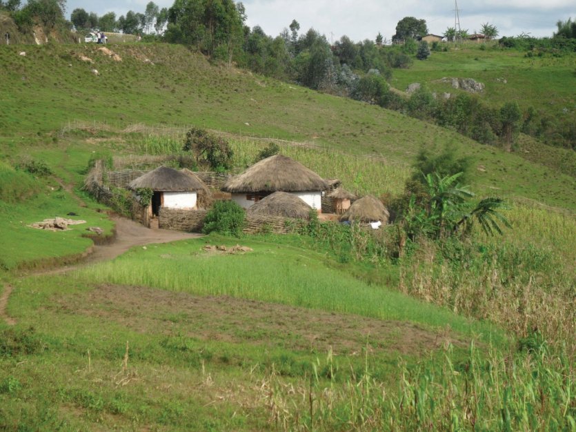 Un rugo typique dans le Mugamba.