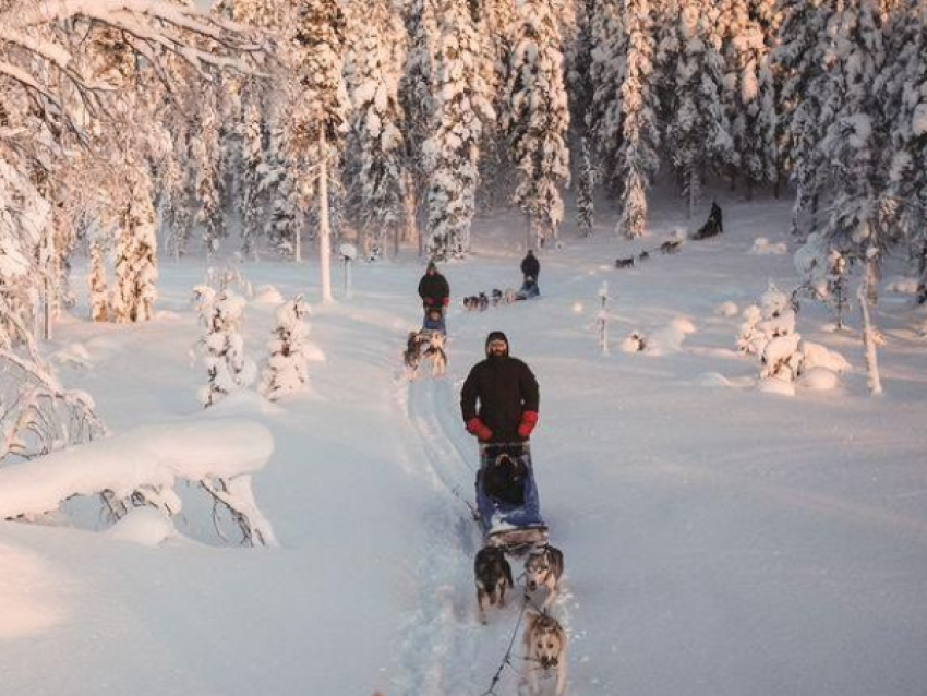 Ballade en huskys