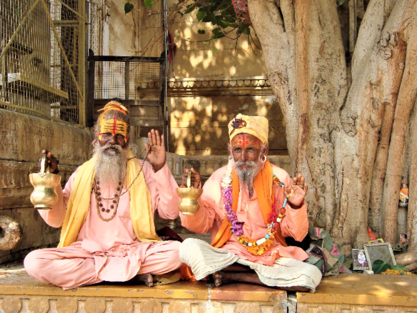 the sadhus