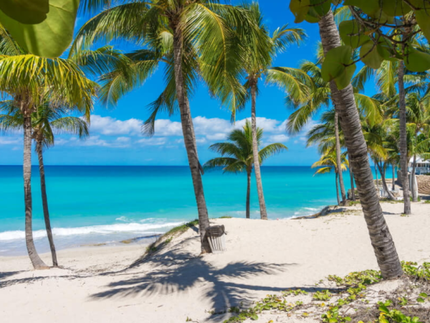 White sand beach