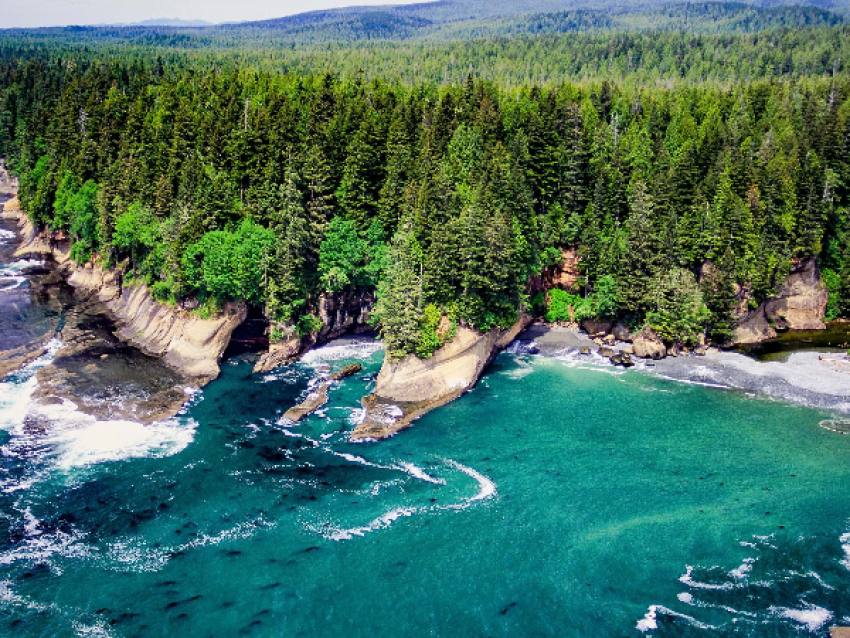 Pacific Rim National Reserve