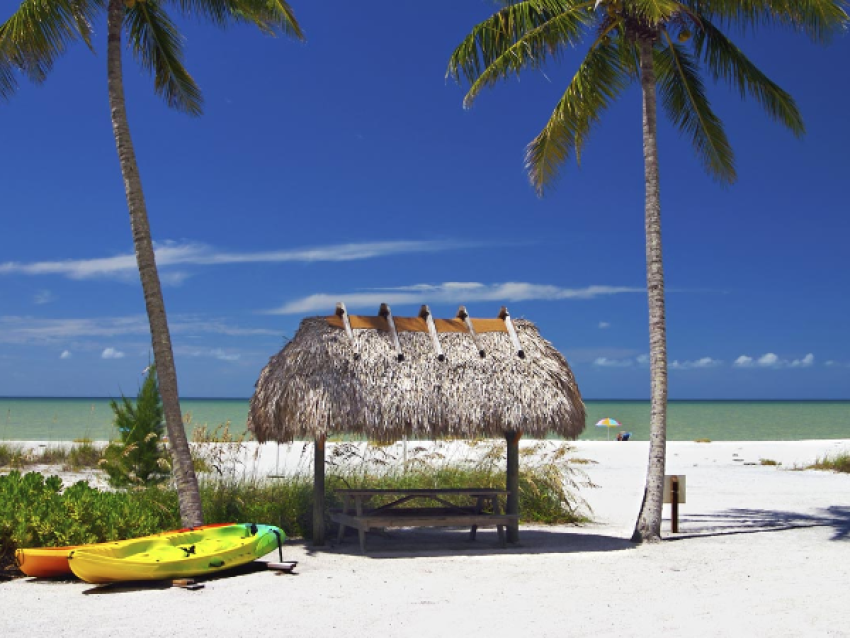 Kayak rental
