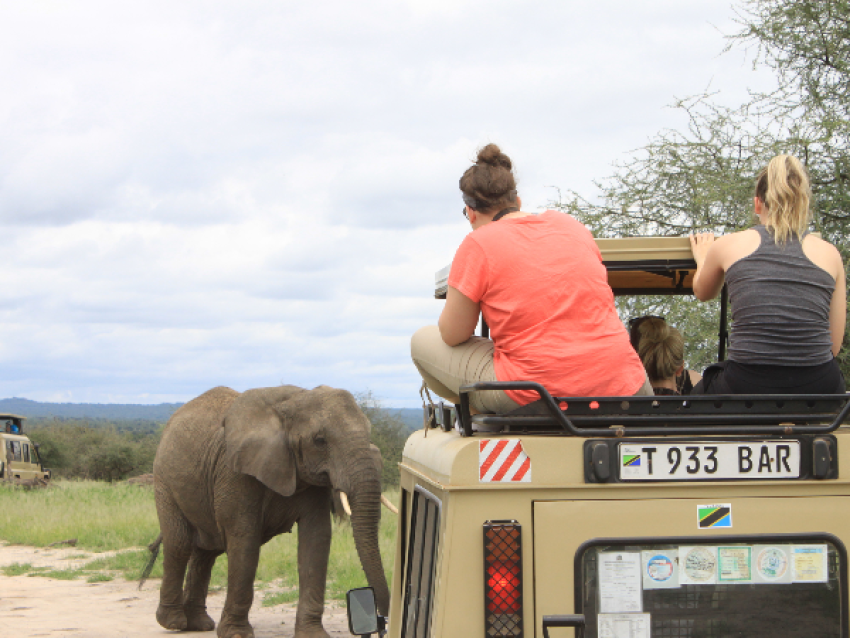 6-Day Budget Camping Safari in Northern Tanzania