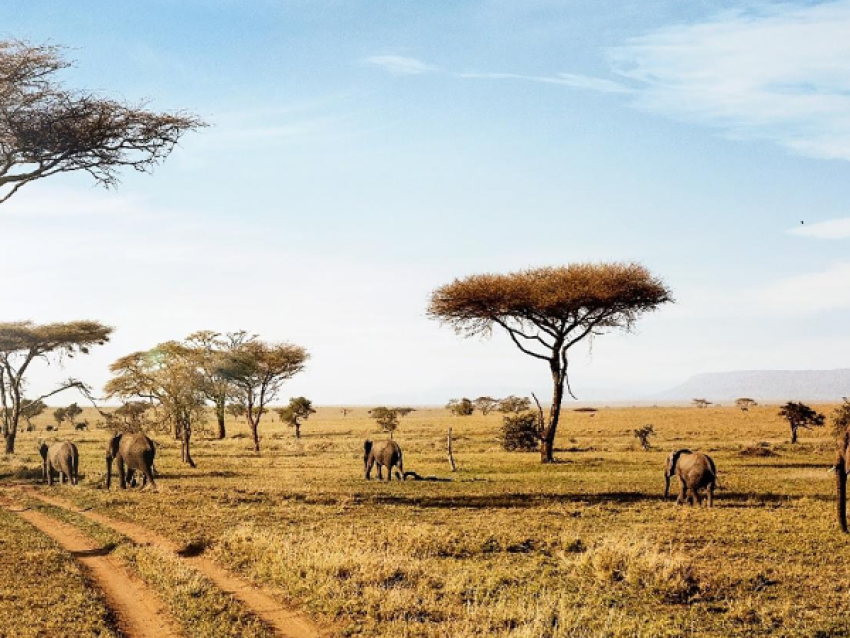 6-Day Budget Camping Safari in Northern Tanzania
