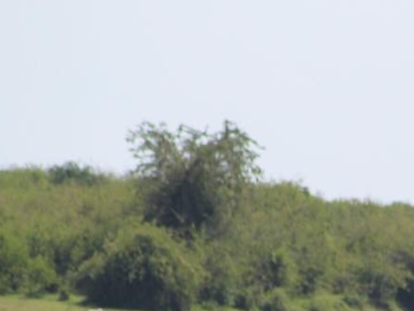 Birding during the boat safari along the Kazinga channel
